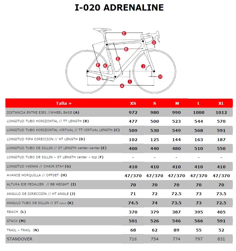geometris nueva.webp