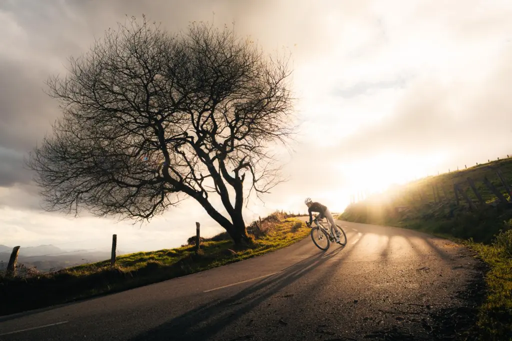 PHOTO-2026-02-03-12-51-26 (1).webp