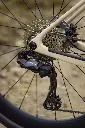 DSC04706 (1).webp